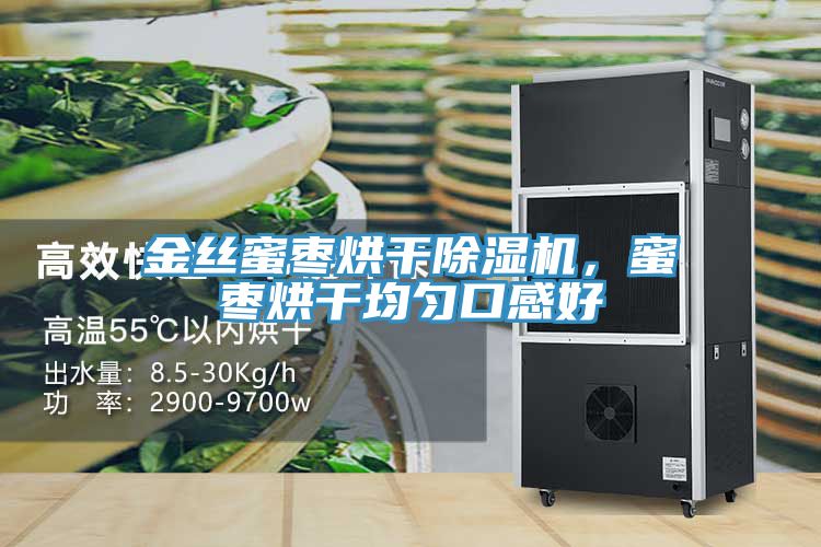 金絲蜜棗烘干除濕機,蜜棗烘干均勻口感好
