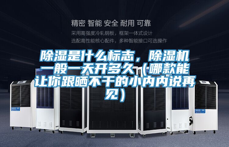 除濕是什么標志,除濕機一般一天開多久(哪款能讓你跟曬不干的小內內說再見)