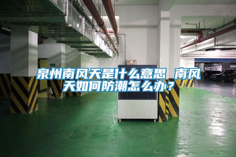 泉州南風天是什么意思 南風天如何防潮怎么辦?