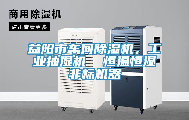 益陽市車間除濕機(jī),工業(yè)抽濕機(jī) 恒溫恒濕非標(biāo)機(jī)器