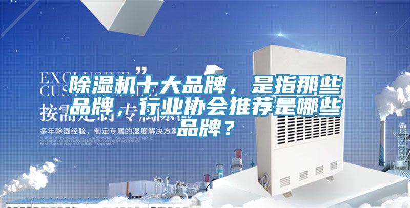 除濕機(jī)十大品牌，是指那些品牌，行業(yè)協(xié)會(huì)推薦是哪些品牌？