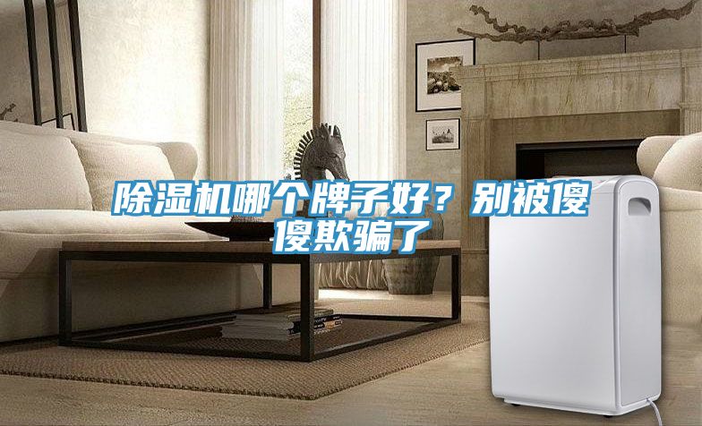 除濕機(jī)哪個(gè)牌子好？別被傻傻欺騙了