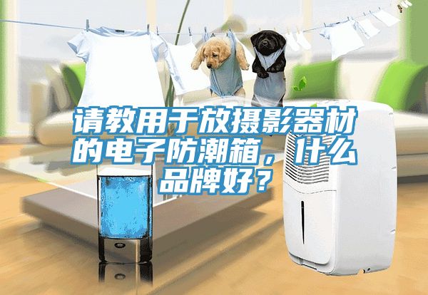 請教用于放攝影器材的電子防潮箱，什么品牌好？