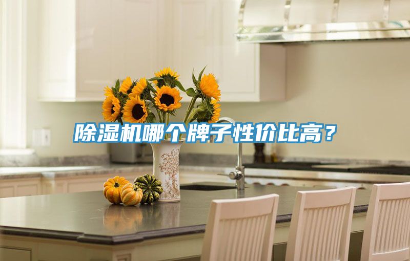 除濕機(jī)哪個(gè)牌子性價(jià)比高？