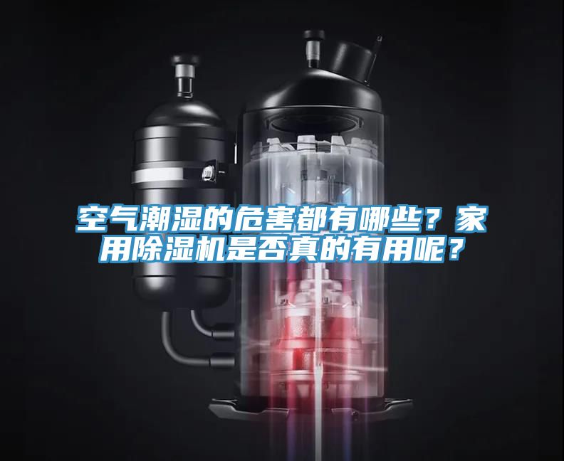 空氣潮濕的危害都有哪些？家用除濕機是否真的有用呢？