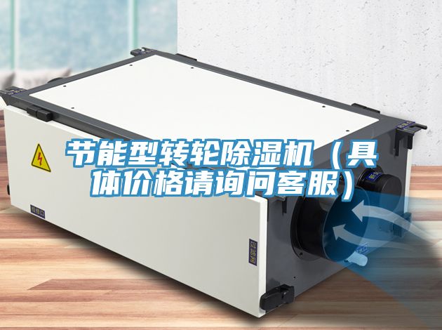 節(jié)能型轉(zhuǎn)輪除濕機(jī)（具體價(jià)格請?jiān)儐柨头?></div>
								<div   id=