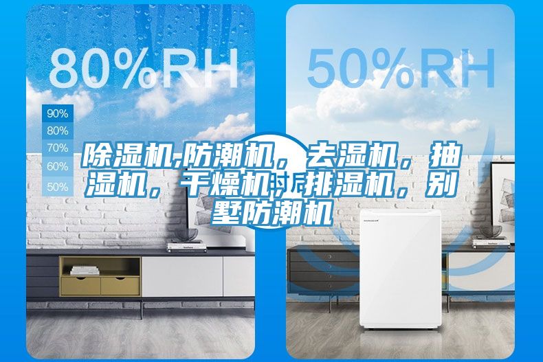 除濕機(jī),防潮機(jī),去濕機(jī),抽濕機(jī),干燥機(jī),排濕機(jī),別墅防潮機(jī)