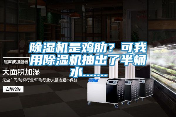 除濕機是雞肋？可我用除濕機抽出了半桶水.......