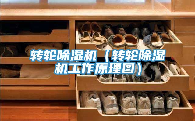 轉輪除濕機(轉輪除濕機工作原理圖)