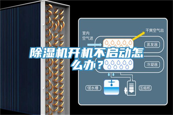 除濕機(jī)開(kāi)機(jī)不啟動(dòng)怎么辦？